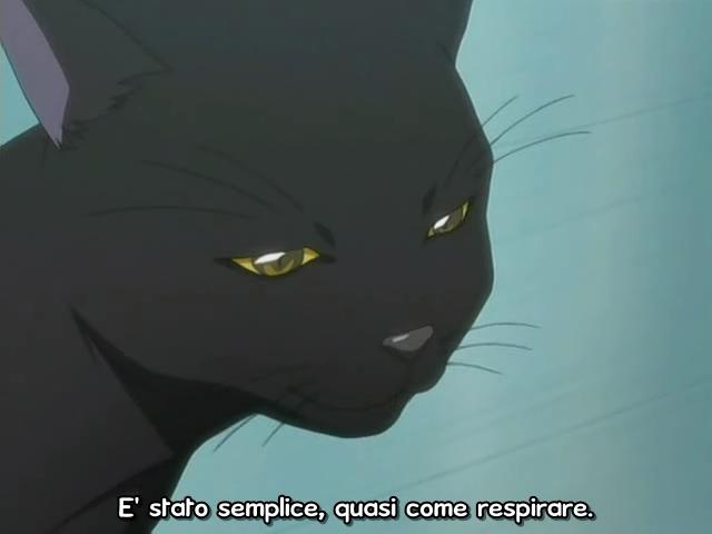 Otaku Gallery  / Anime e Manga / Bleach / Screen Shots / Episodi / 025 - Sfondare al centro con un enorme proiettile / 091.jpg